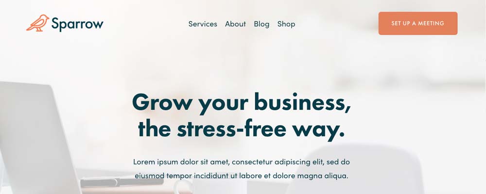 Squarespace business #3